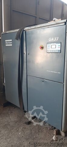Screw compressor Atlas Copco GA37
