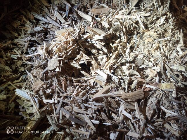 Holzschredder – Paletten-Zerkleinerungslinie ROBUST P150 Twin - pallet crushing line