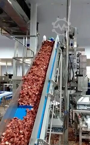 Schalenversiegler Multivac Complete packaging line T400