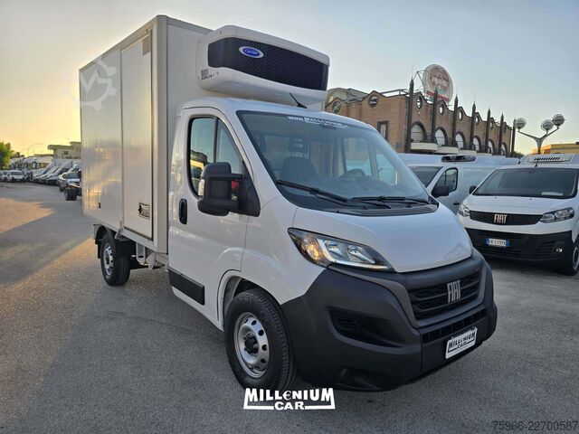 Kühltransporter FIAT FIAT DUCATO 2023 CELLA 3,10 FRC
