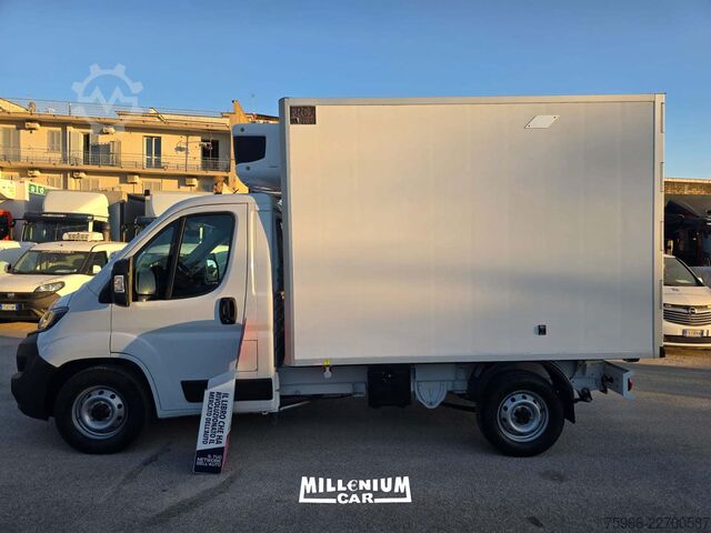 Kühltransporter FIAT FIAT DUCATO 2023 CELLA 3,10 FRC