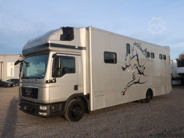 Viehtransporter LKW MAN TGL 12.250 BL 4x2 für 5 Pferde Aufbau Bj.: 2022