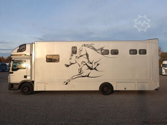 Viehtransporter LKW MAN TGL 12.250 BL 4x2 für 5 Pferde Aufbau Bj.: 2022