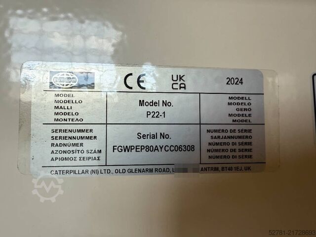 Generator set FG Wilson P22-1 - 22 kVA Open Genset - DPX-16002-O