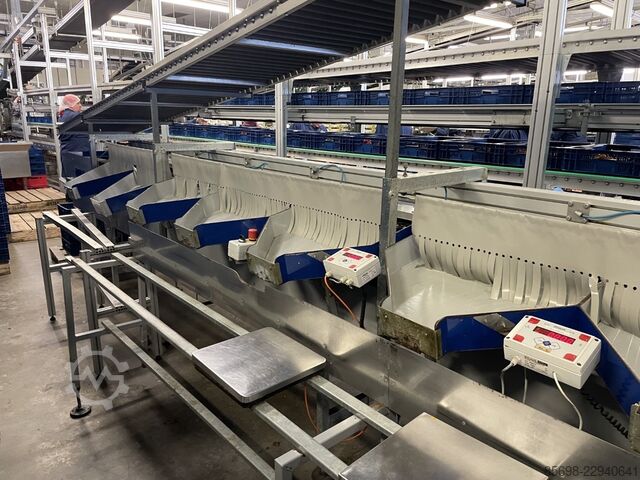 Unitec Cherry_Vision Unical 200 OC 1C8+1 11V174 grading machine for cherry tomatoes UNITEC Cherry_Vision Unical 200 OC 1C8+1 11V174