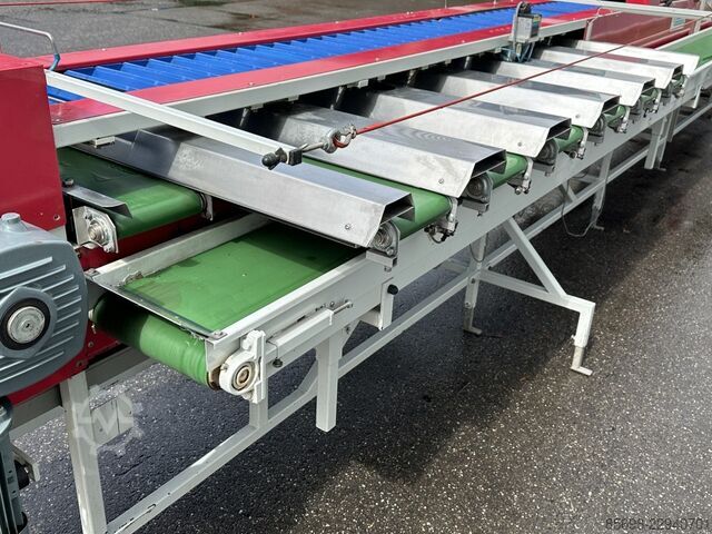 Strauss X28502 Asparagus combination weigher for asparagus with cutting unit STRAUSS X28502
