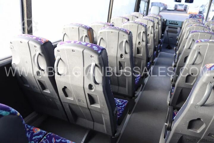 Minibus Mercedes VARIO / Atego / Apollo