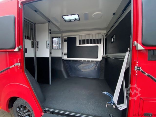 Livestock transporter RENAULT MASTER AKX NEW MODELL 2025 5 Sitzer Haras ex. L