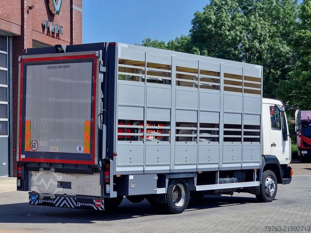 Cattle transport MAN TGL 8.240 - 2 deck livestock Bekkers - Loadlift...