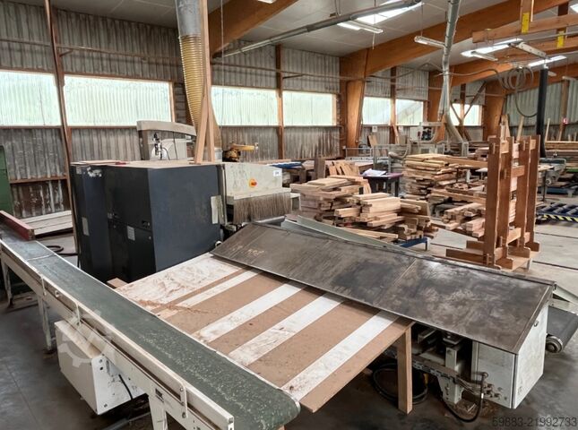 Multi blade saw Raimann ProfiRip KM310M