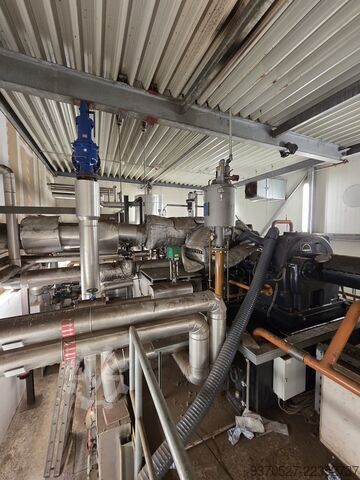 Biomass power plant ICS Energietechnik 
