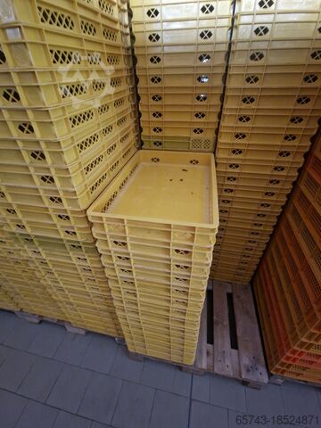 Bakery yellow boxes 60x40x8