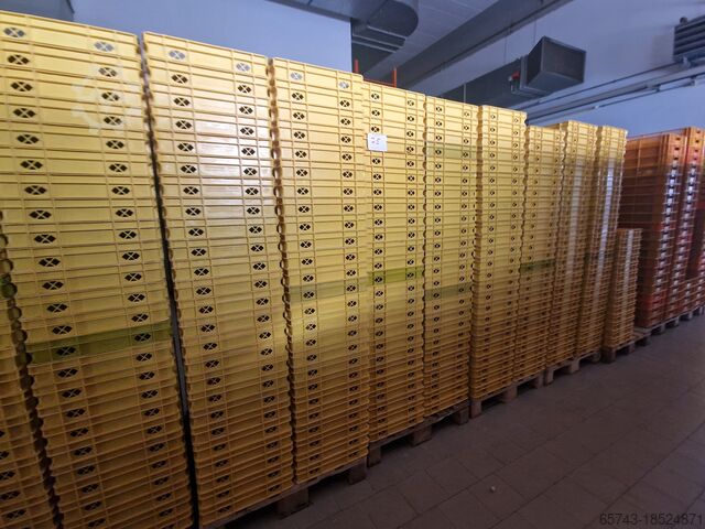 Bakery yellow boxes 60x40x8