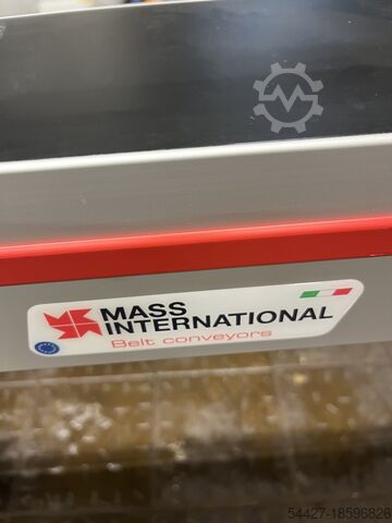 Conveyor belt with guide plate MASSINTERNATIONAL NPS