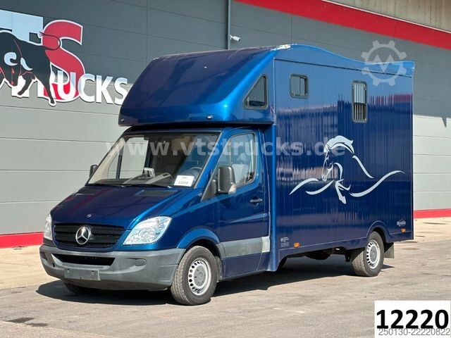 Livestock transporter MERCEDES-BENZ Sprinter 319 CDi KHG Mystic Pferdetransporter