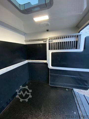 Viehtransporter RENAULT Master STX Haras 5 Sitzer TÜV NEU