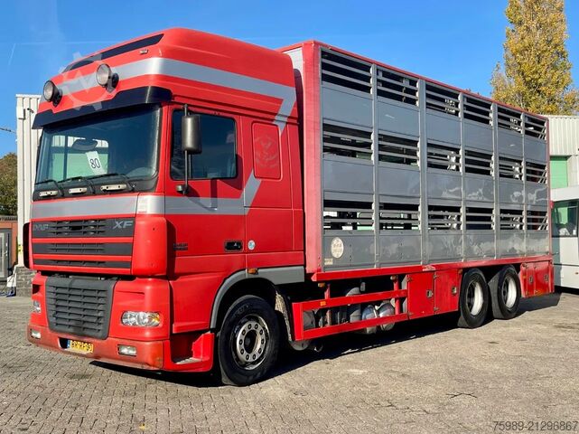Viehtransport DAF XF 95.430 BERDEX  3 decks. Water, fans, Scales!...