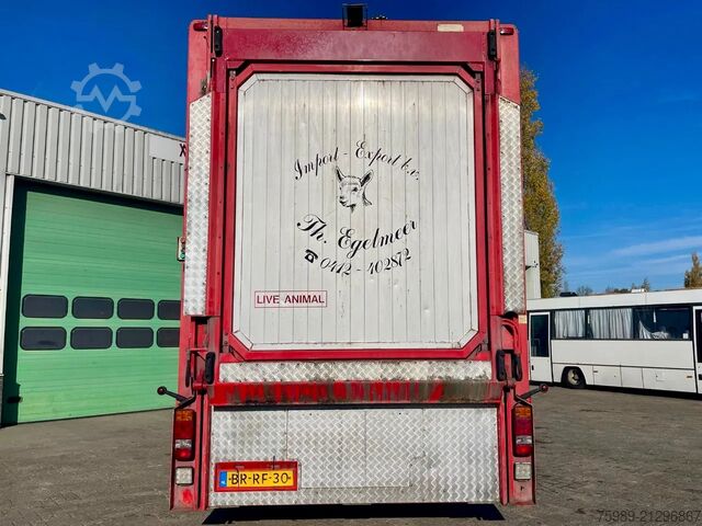 Viehtransport DAF XF 95.430 BERDEX  3 decks. Water, fans, Scales!...