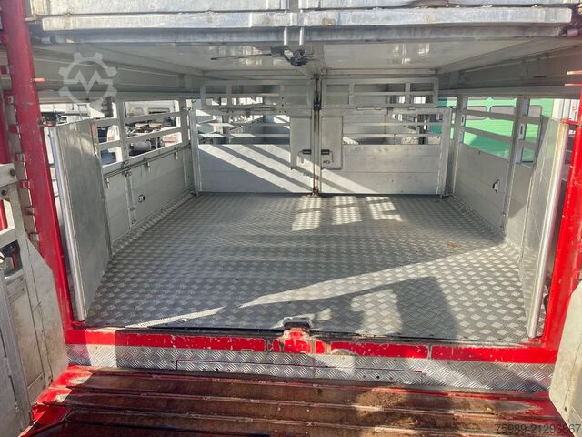 Viehtransport DAF XF 95.430 BERDEX  3 decks. Water, fans, Scales!...