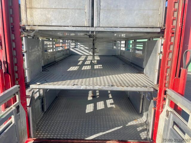 Viehtransport DAF XF 95.430 BERDEX  3 decks. Water, fans, Scales!...