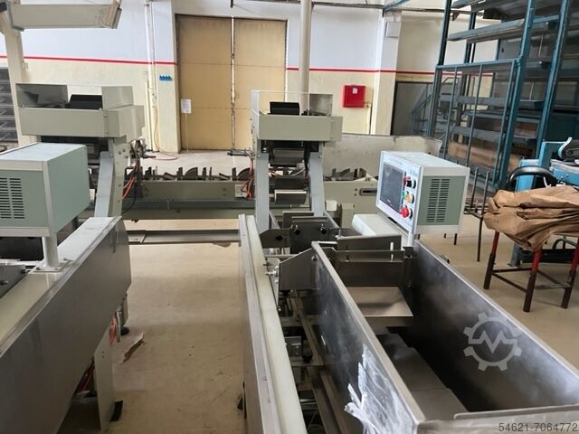 Long pasta production line PAVAN P 350
