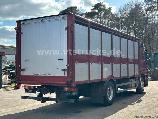 Viehtransporter LKW MERCEDES-BENZ Actros 1841 MP3 1.Stock Köstner Viehaufbau