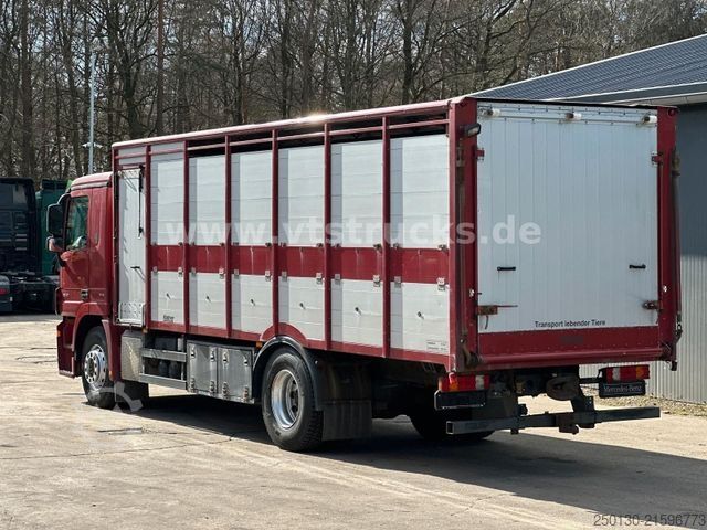 Viehtransporter LKW MERCEDES-BENZ Actros 1841 MP3 1.Stock Köstner Viehaufbau