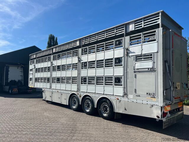 Cattle transport Pezzaioli 1/2/3 Livestock Type 2 Perfect condition