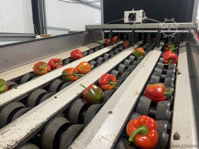 Aweta GMB4-12+1 pepper sorting machine with elevator and scales AWETA GMB4-12-1