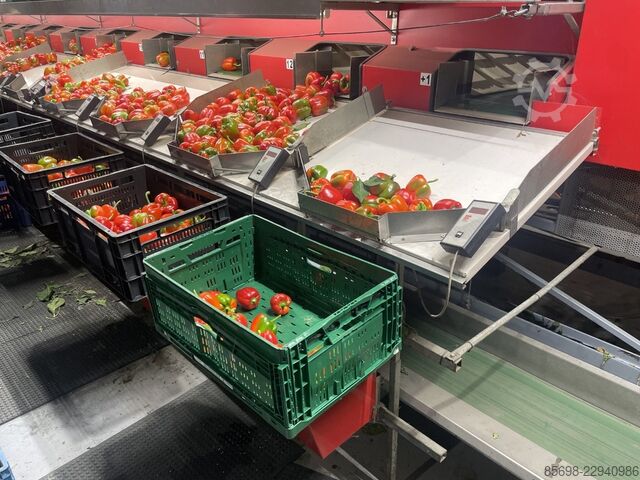 Aweta GMB4-12+1 pepper sorting machine with elevator and scales AWETA GMB4-12-1
