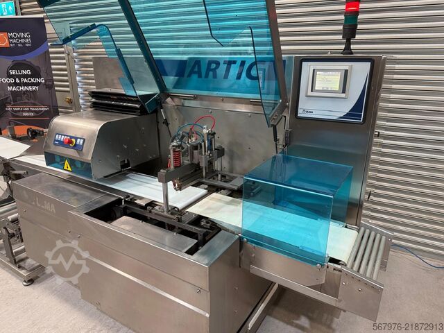 Flow Wrapper Ulma Packaging ARTIC BI Flow Wrapper