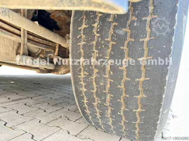 Holztransporter LKW MAN TGS 500 mit Epsilon M120Z96 Ladekran