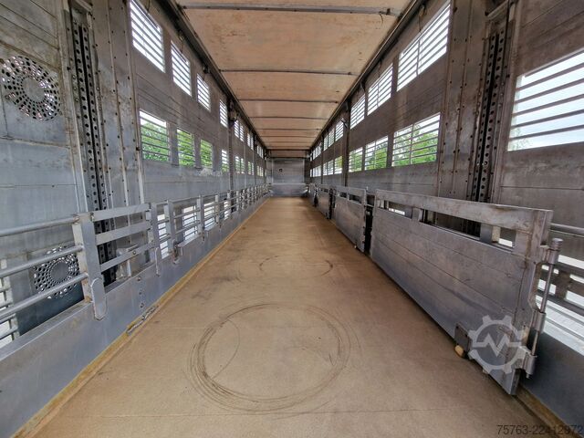 Viehtransport Finkl 3 deck - lift- water - vans - steering axle