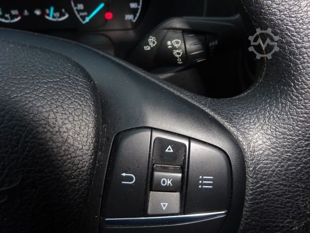 Kastenwagen FORD Transit Kasten 310 L3H2 130PS DAB+