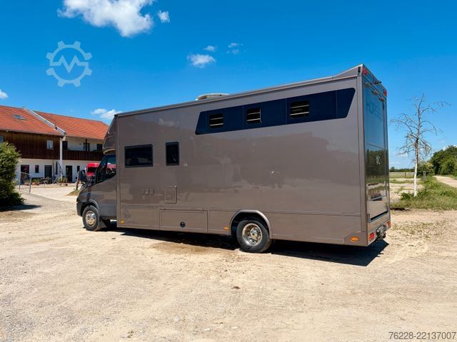 Livestock transporter IVECO Daily