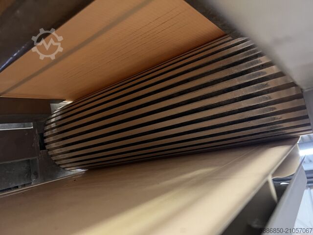 Bandförderer Cabinplant  