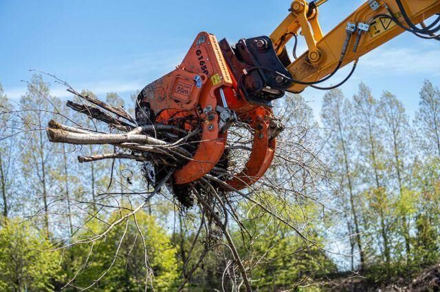Baumaschine Westtech Woodcracker G1650 Roderechen lagernd!