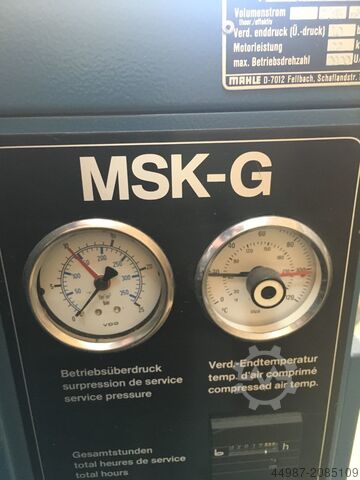 Extraction Rippert Drehkolbengeblaese