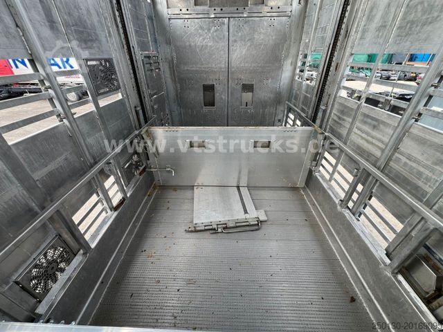 Horse transport trailer PEZZIOLI RBA31 3.Stock Viehanhänger, Hubdach, Tränke