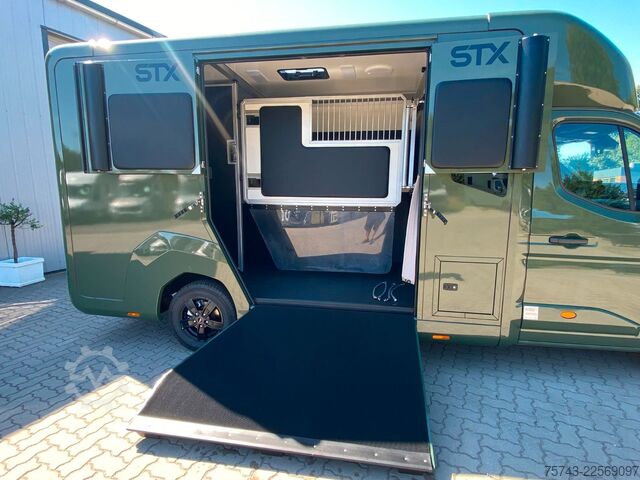 Viehtransporter RENAULT Master STX 5 Sitzer Haras ex. Lang Automatik