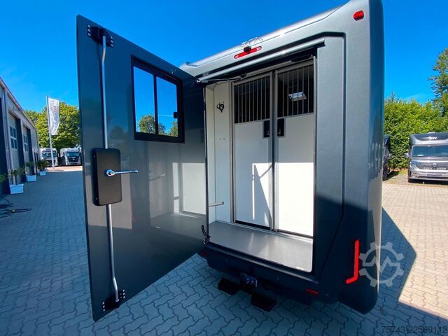 Viehtransporter RENAULT Master STX 5 Sitzer Haras ex. Lang Automatik
