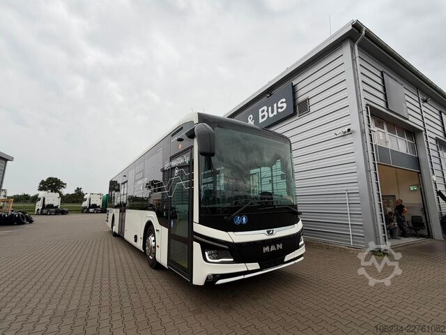 Bus MAN Intercity  12 LE