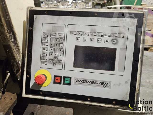 Heesemann LSM 8 wide belt sander Heesemann LSM 8