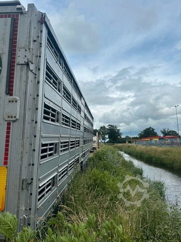 Viehtransporter Auflieger PEZZIOLI SBA 31 Tiertransporter