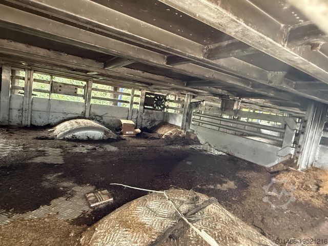 Viehtransporter Auflieger PEZZIOLI SBA 31 Tiertransporter