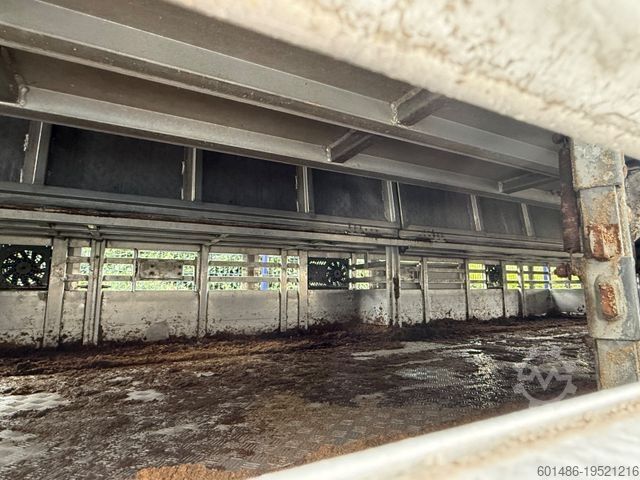 Viehtransporter Auflieger PEZZIOLI SBA 31 Tiertransporter