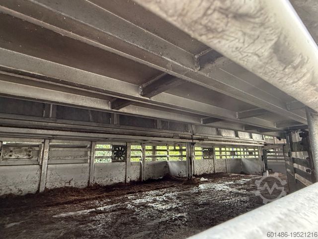 Viehtransporter Auflieger PEZZIOLI SBA 31 Tiertransporter