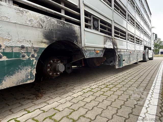 Viehtransporter Auflieger PEZZIOLI SBA 31 Tiertransporter