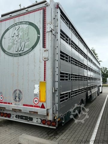 Viehtransporter Auflieger PEZZIOLI SBA 31 Tiertransporter