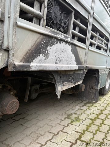 Viehtransporter Auflieger PEZZIOLI SBA 31 Tiertransporter